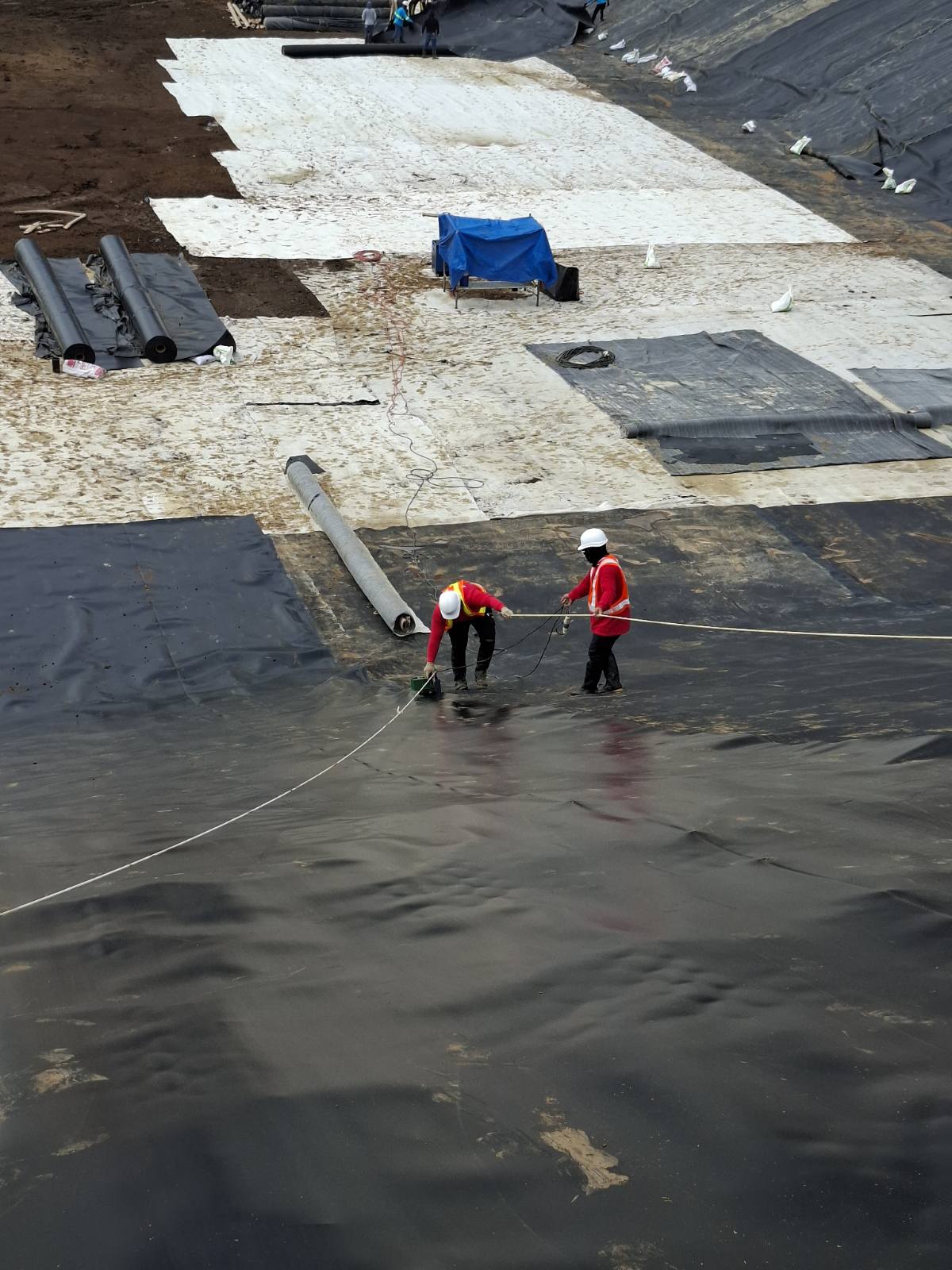 viber_image_2026-03-26_21-10-12-059